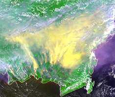 Wildfire in Karimantan Island [acquired Oct. 24, 2015 (UTC)]